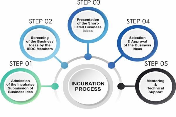 Incubation Process